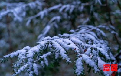 陈塘林初雪免费阅读-陈塘林初雪免费阅读最新章节目录