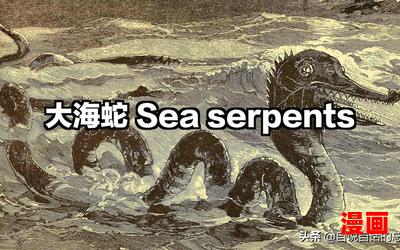 海怪全文阅读-海怪免费阅读-海怪最新章节免费在线无弹窗阅读